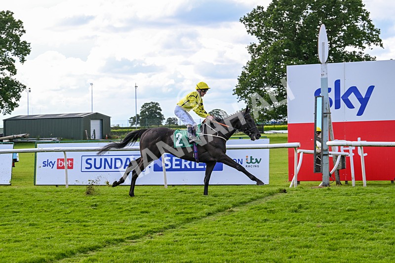 160624-Race 4-Align The Stars-8833 - Race 4