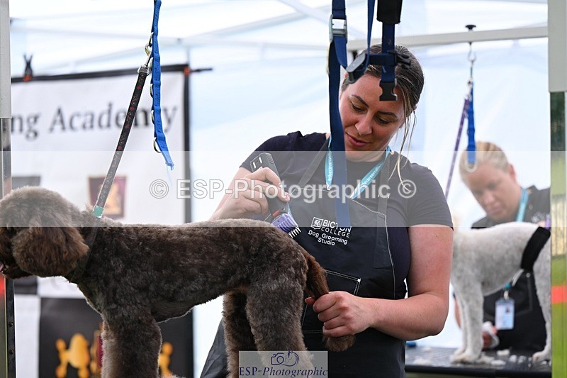 240525-114923-12639 - Candid and Saturday Hobby Horse