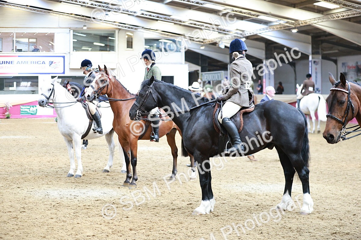 SBM_03713 - Class 6A Area Ridden Pre-Vet