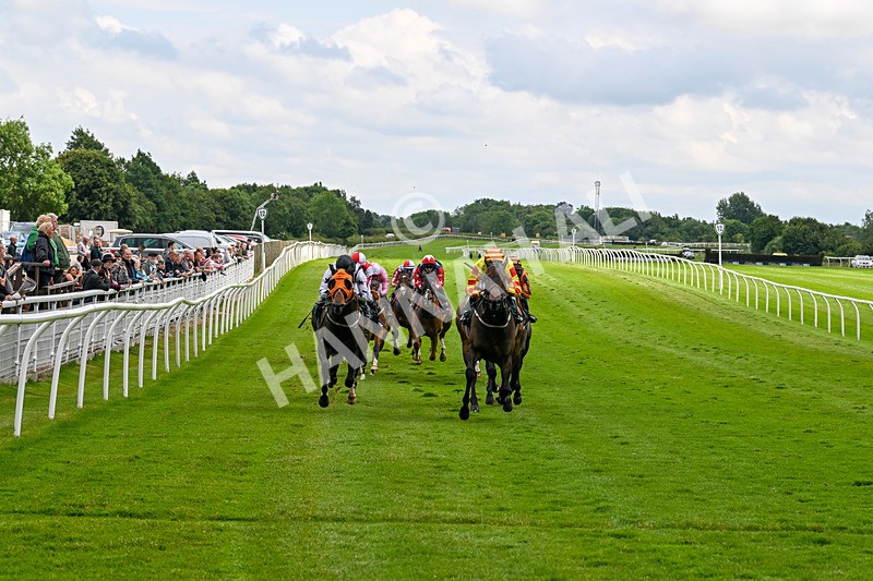 180624-Race 3-High Opinion-0300 - Race 3