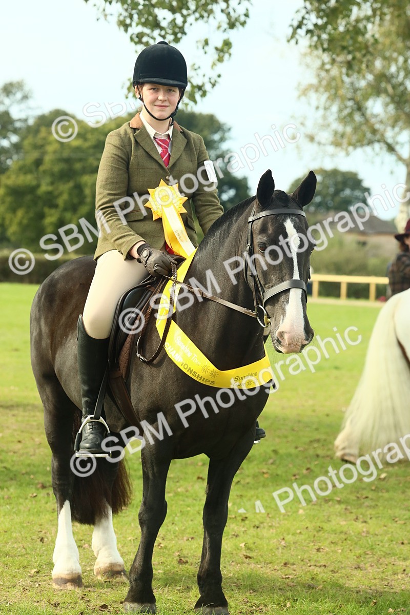 SBM_69394 - S58 - Mini Show Cob Ridden