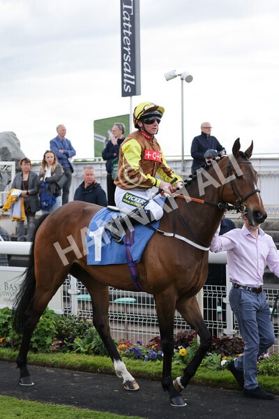 yr11052022r6-4 - Race 6 4.45pm Conundrum HR Consulting Stakes