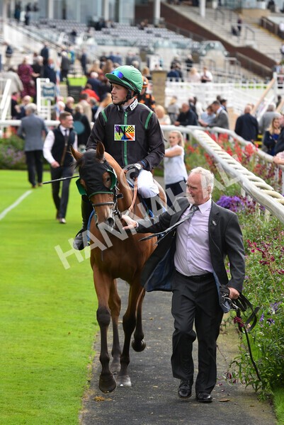 yr24092021r1-92 - Race 1 1.10pm Ernest Cooper Macmillan Ride of Their Lives