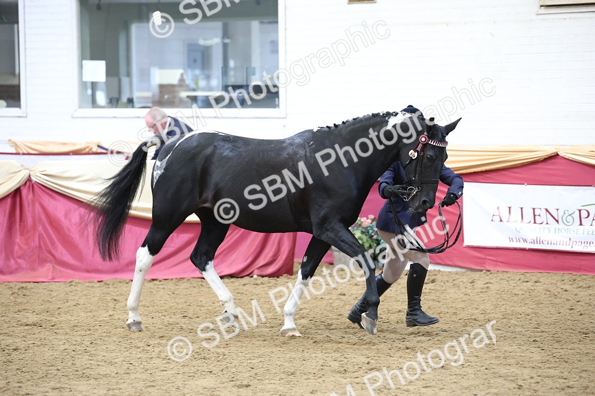 SBM_23653 - class 906 - Supreme Final - Ridden Pre Vet