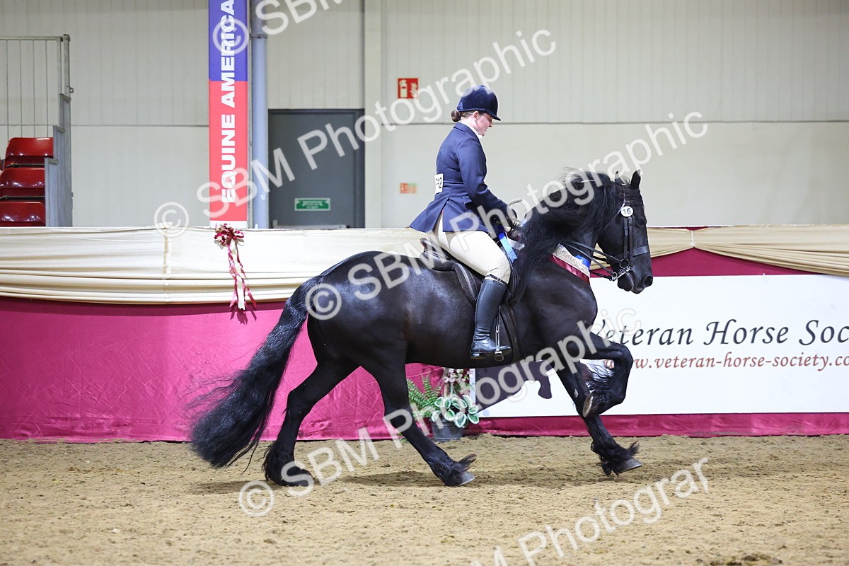 SBM_19304 - Class K Equitation Champ