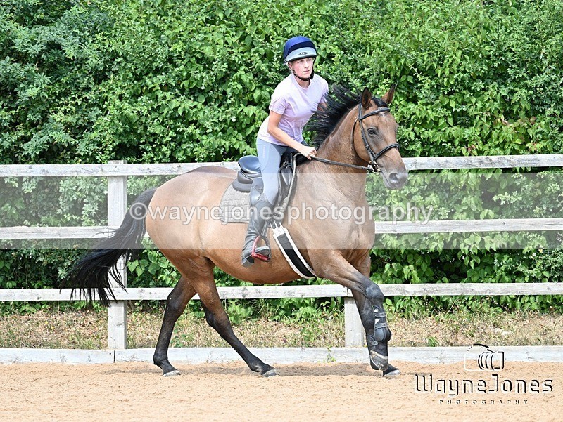 WJ7_6584 - Show Jumping at BCA