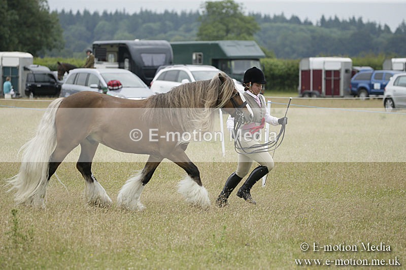 B230619-0832 - Bourne Valley Riding Club Summer Show 23/06/19