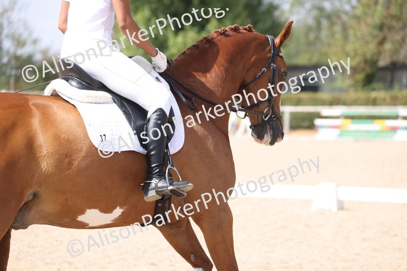 20260815-0994 - Class 5 - Novice 1