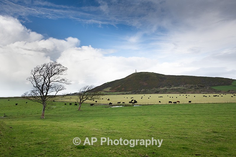 ANT_5670-1 - Tanybwlch