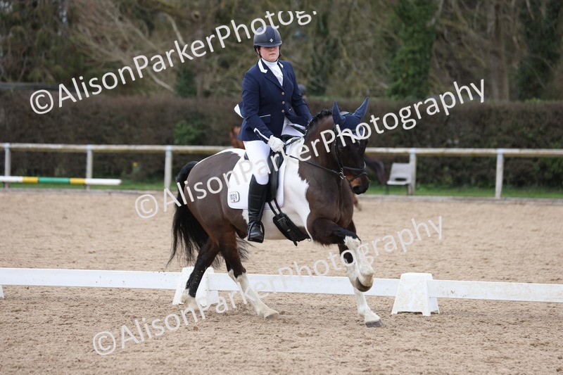 20260301-0506 - Class 3 - Novice 4