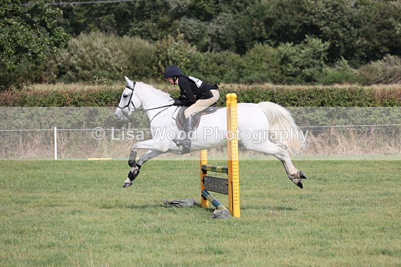JPP_8595 - Class 2: Trekenning: 80cm Showjumping