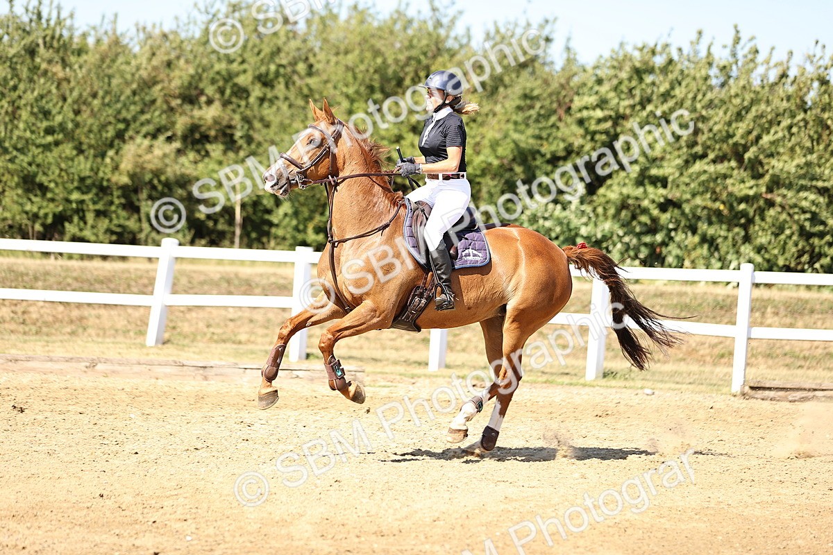 SBM_015538 - Class 16 - Senior foxhunter - 1.20m Open