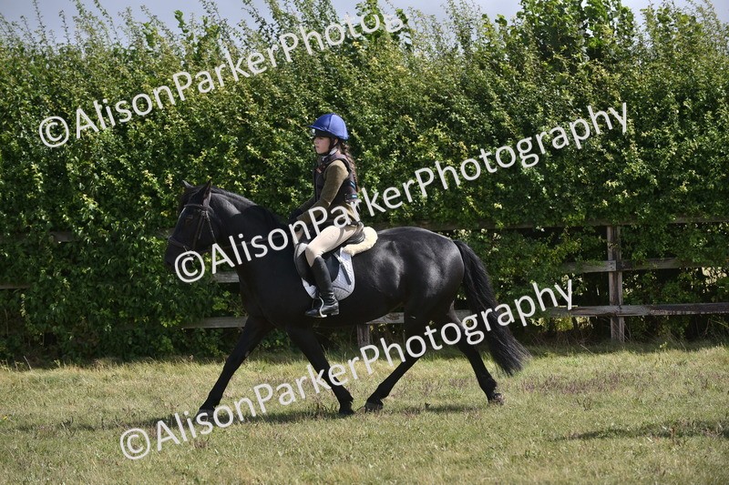 20250831-3988 - Class 12 - Working Hunter Pony 14.2hh and Under