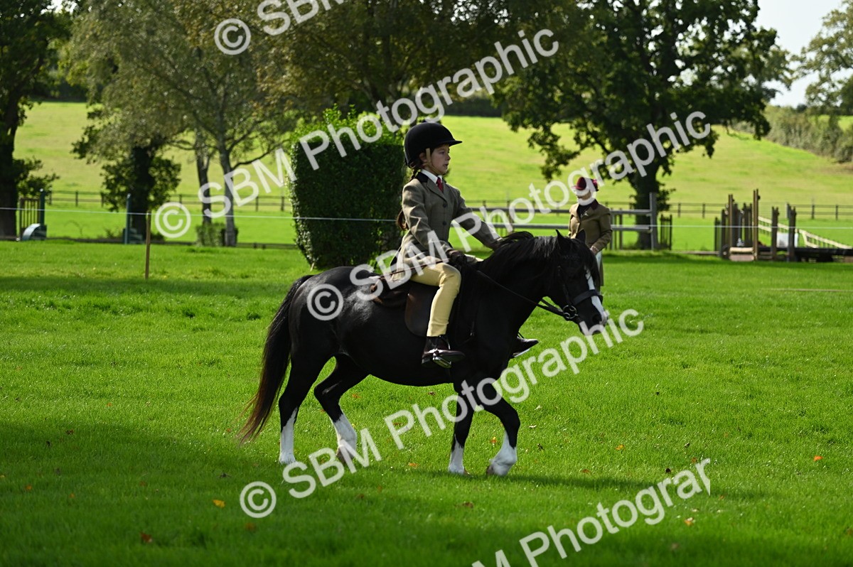 SBM_02708 - S3 - TSR Ridden Pony Showing