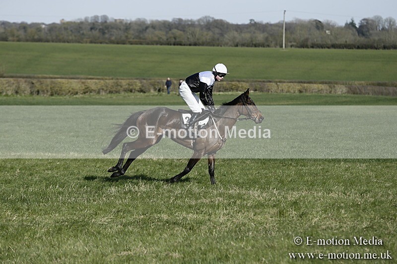 PtP 250317 249 - V.W.H. Hunt Point-to-Point Siddington 25/03/17