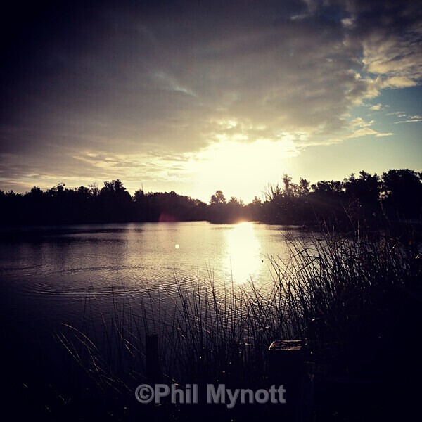 PhotoMynottART043 - Photo Mynott ART Images