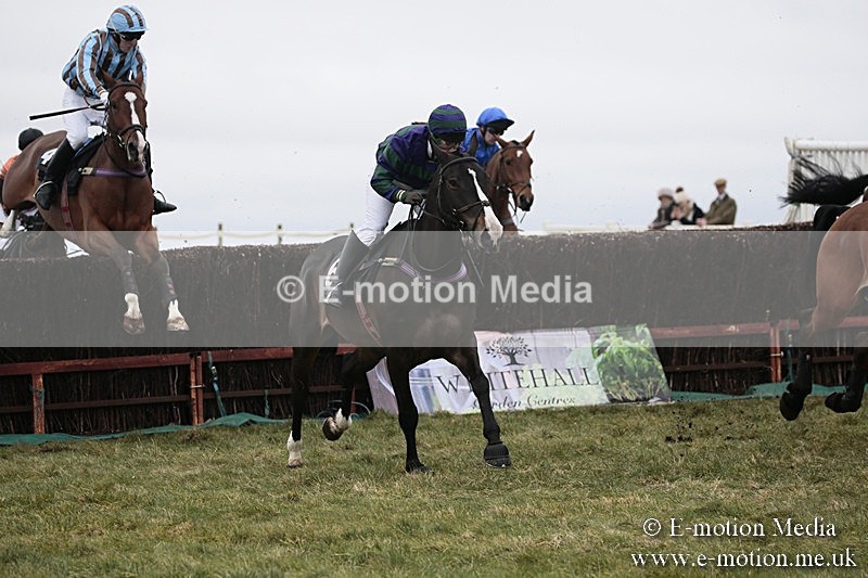 PtP 180218 118 - Combined Services Point-to-Point Larkhill 18/02/18