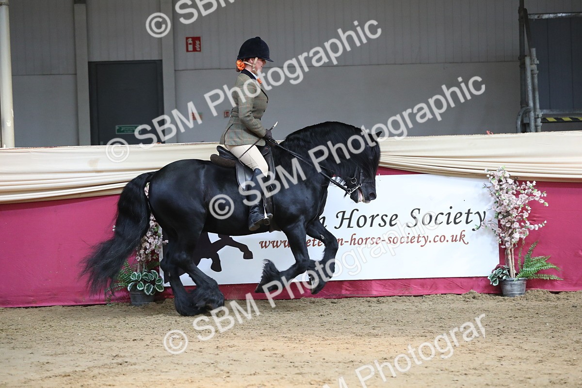 SBM_08311 - Class 11R Regional Ridden Veteran