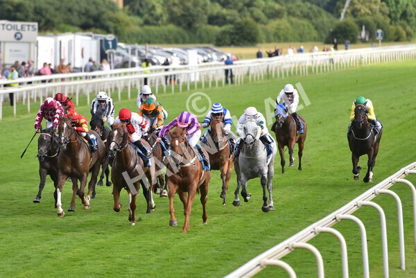 yr23072021r2-24 - Race 2 6.30pm IRE-Incentive It Pays To Buy Irish Stakes