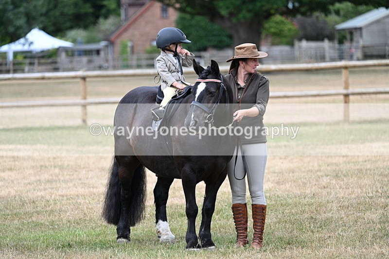 WJ7_9759 - Class 1 Lead Rein Pony