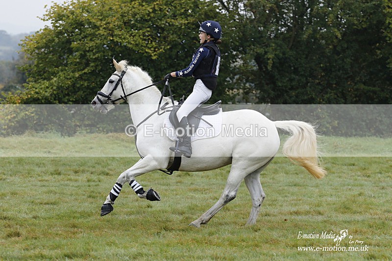 WWHT 171021 0550 - Novice Restricted (0.80m)  17/10/21