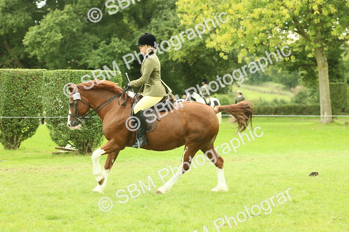 SBM_72116 - S60 - Mountain & Moorland Ridden Large Breeds