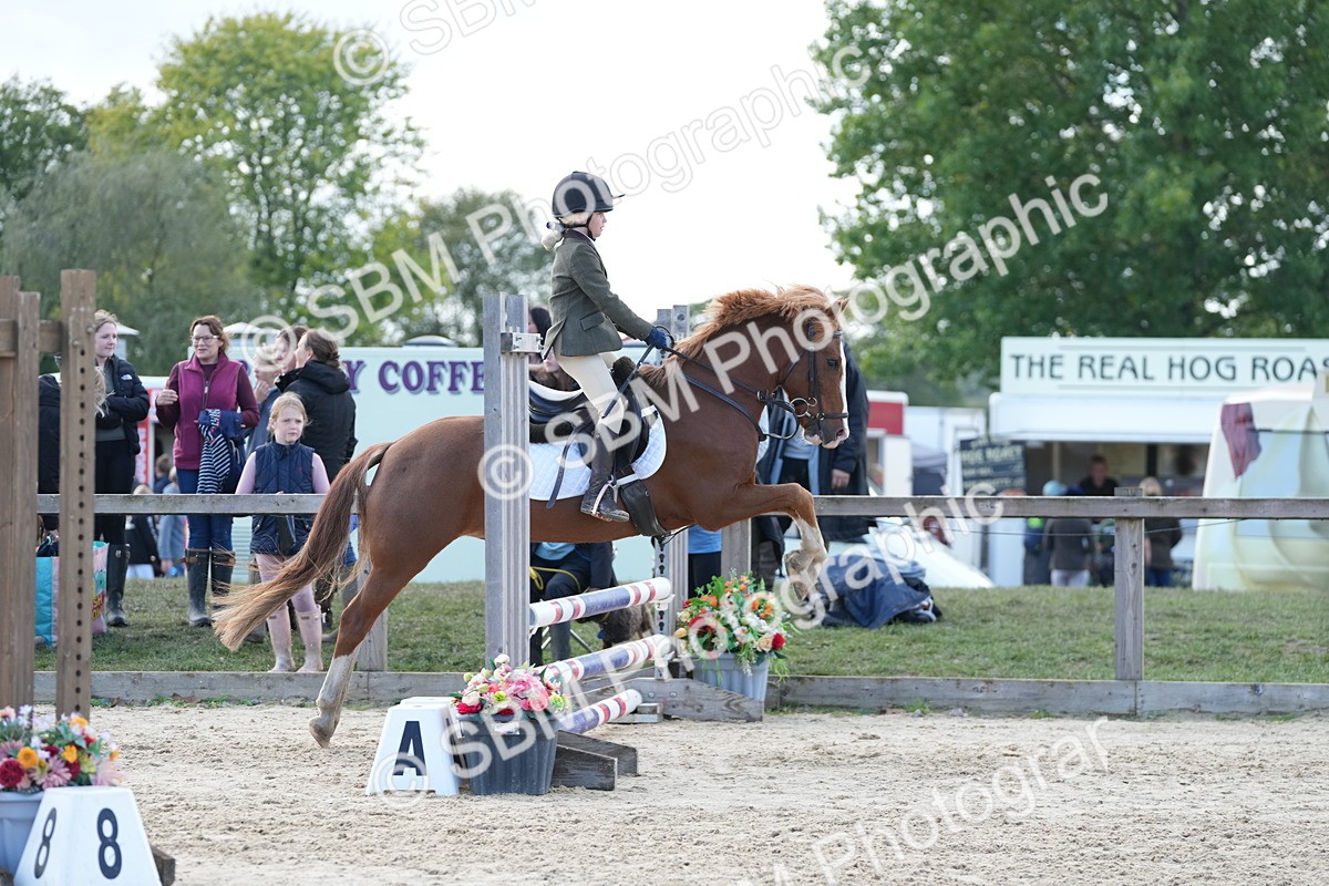 SBM_46737 - J7 - Junior Pony 60cm Championship