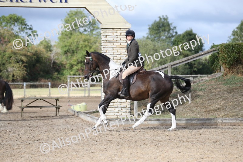20260831-0044 - Class 12 - Ridden Coloured