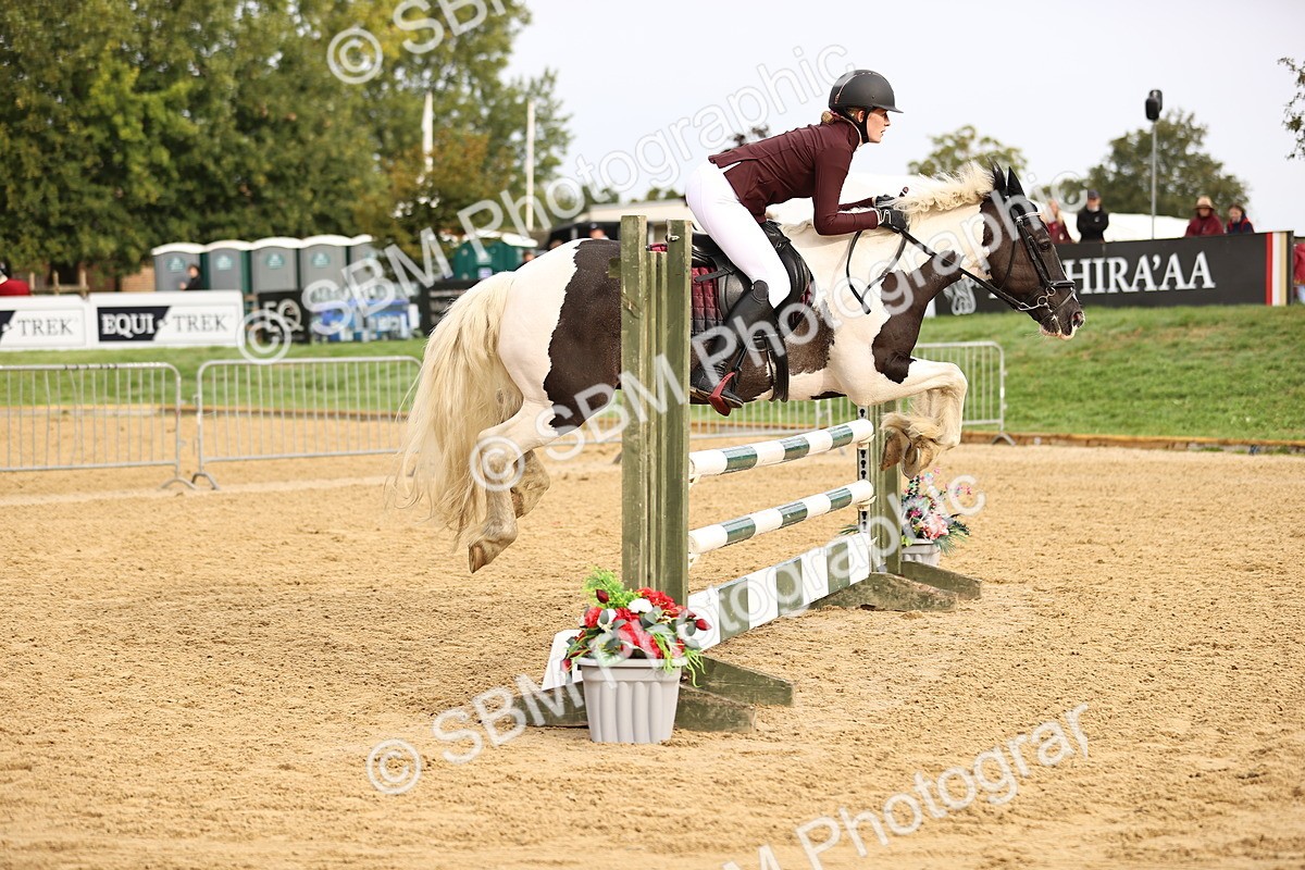 SBM_58224 - J41 - Grand Tour Horse & Pony 95cm