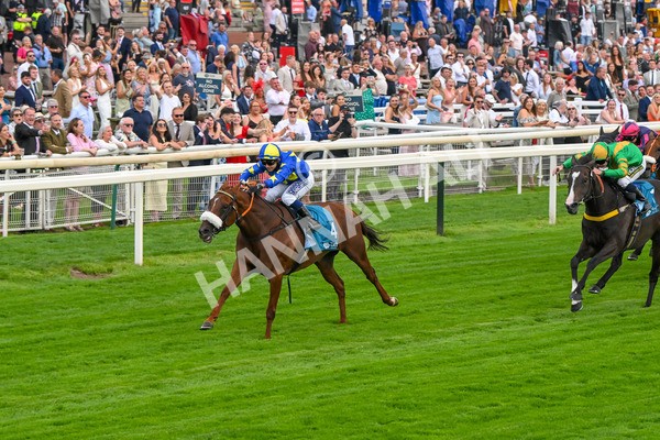 250725-Race 2-Rock N Roll Pinkie-5475 - Race 2 6.03pm Elevator Company Handicap