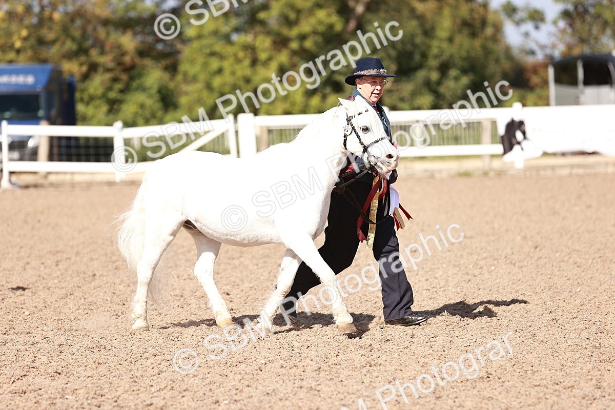 SBM_22847 - Class 705 - IH Combination 65+