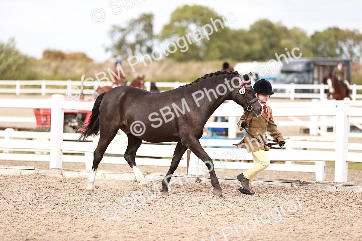 SBM_18362 - Class 418 - Best Condition - Jnr