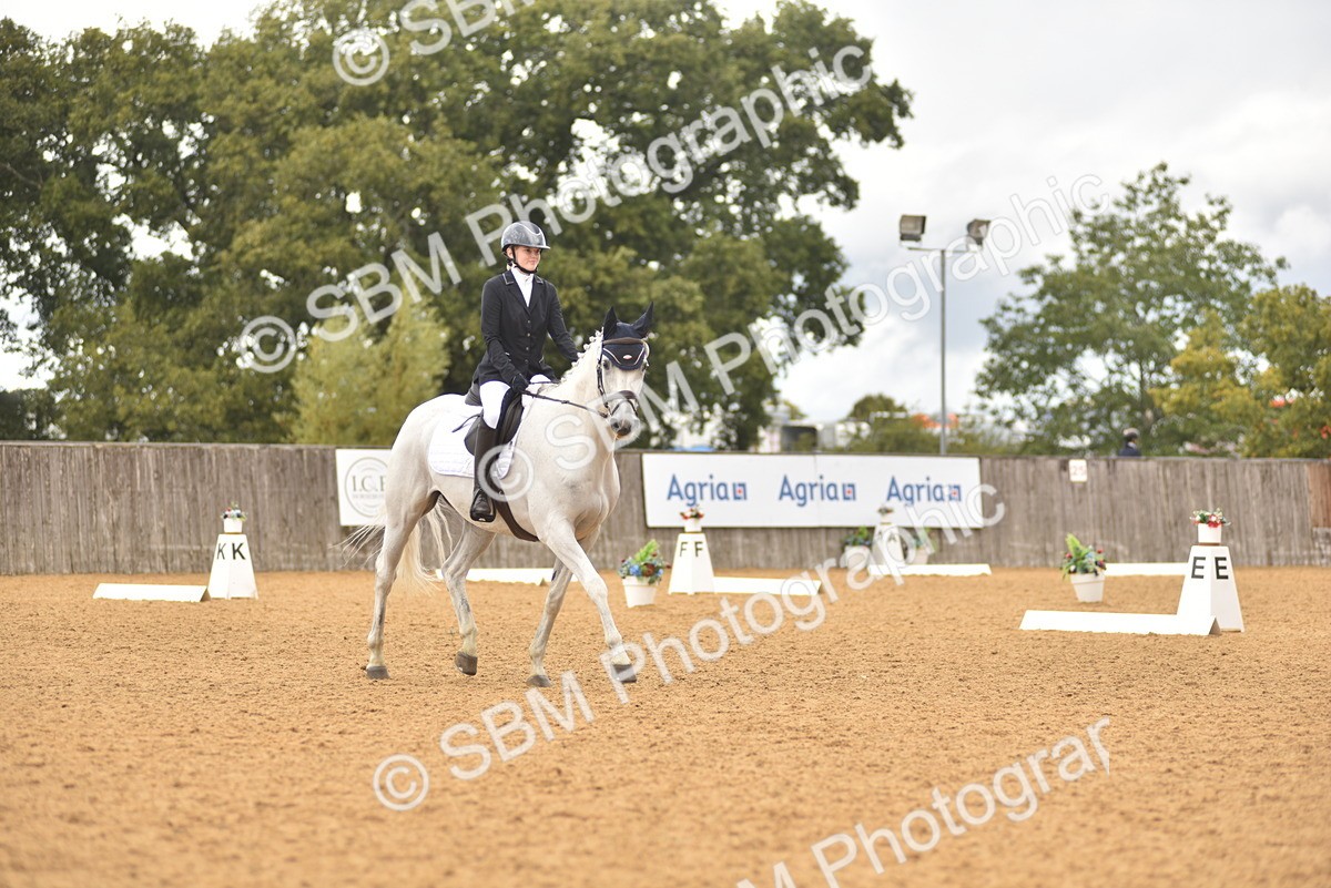 SBM_42559 - D22 - Junior Championship Intro 3