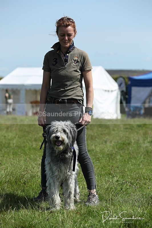 SPXX0585 - Dog show
