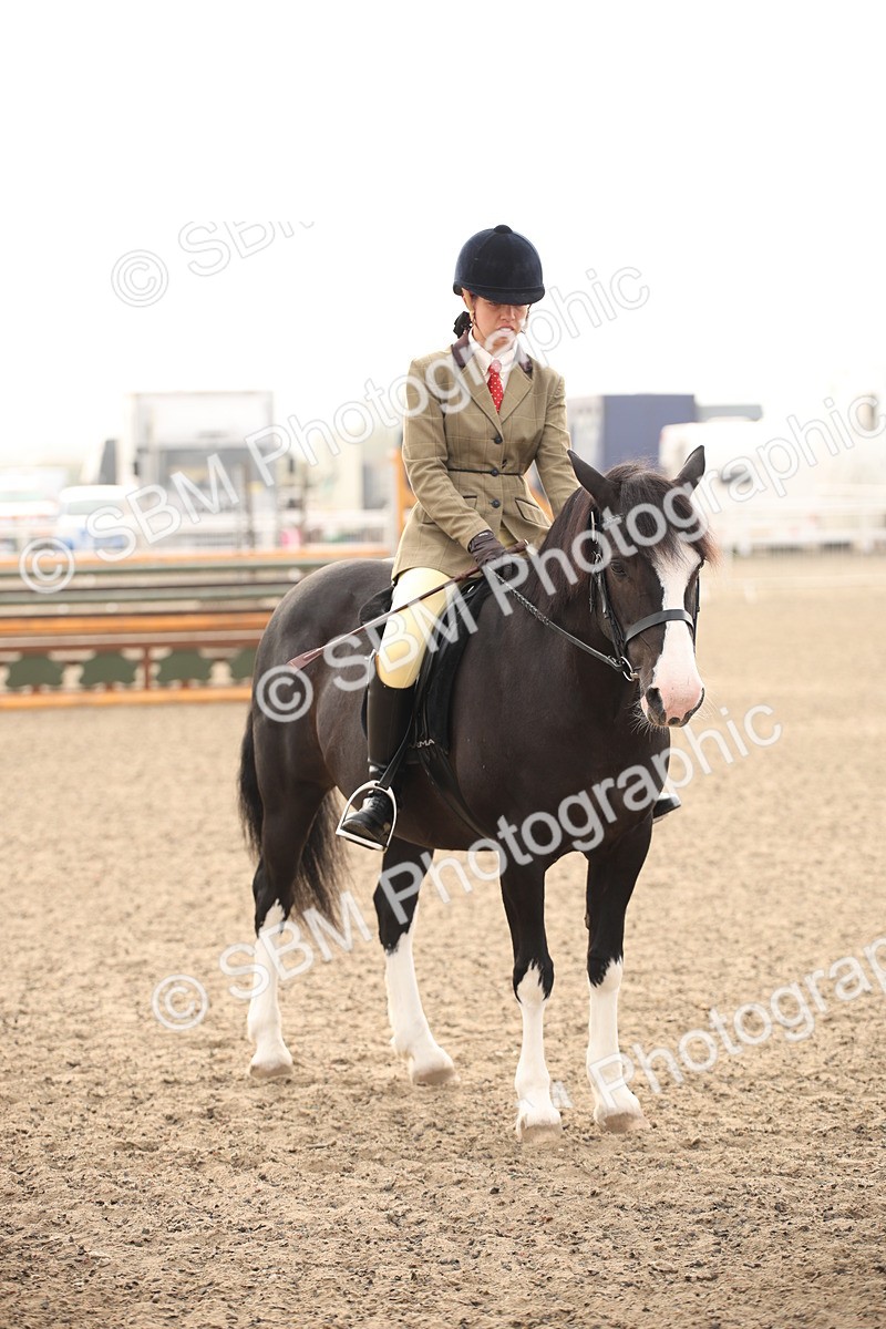 SBM_09754 - Class 401 Riding Club Pony
