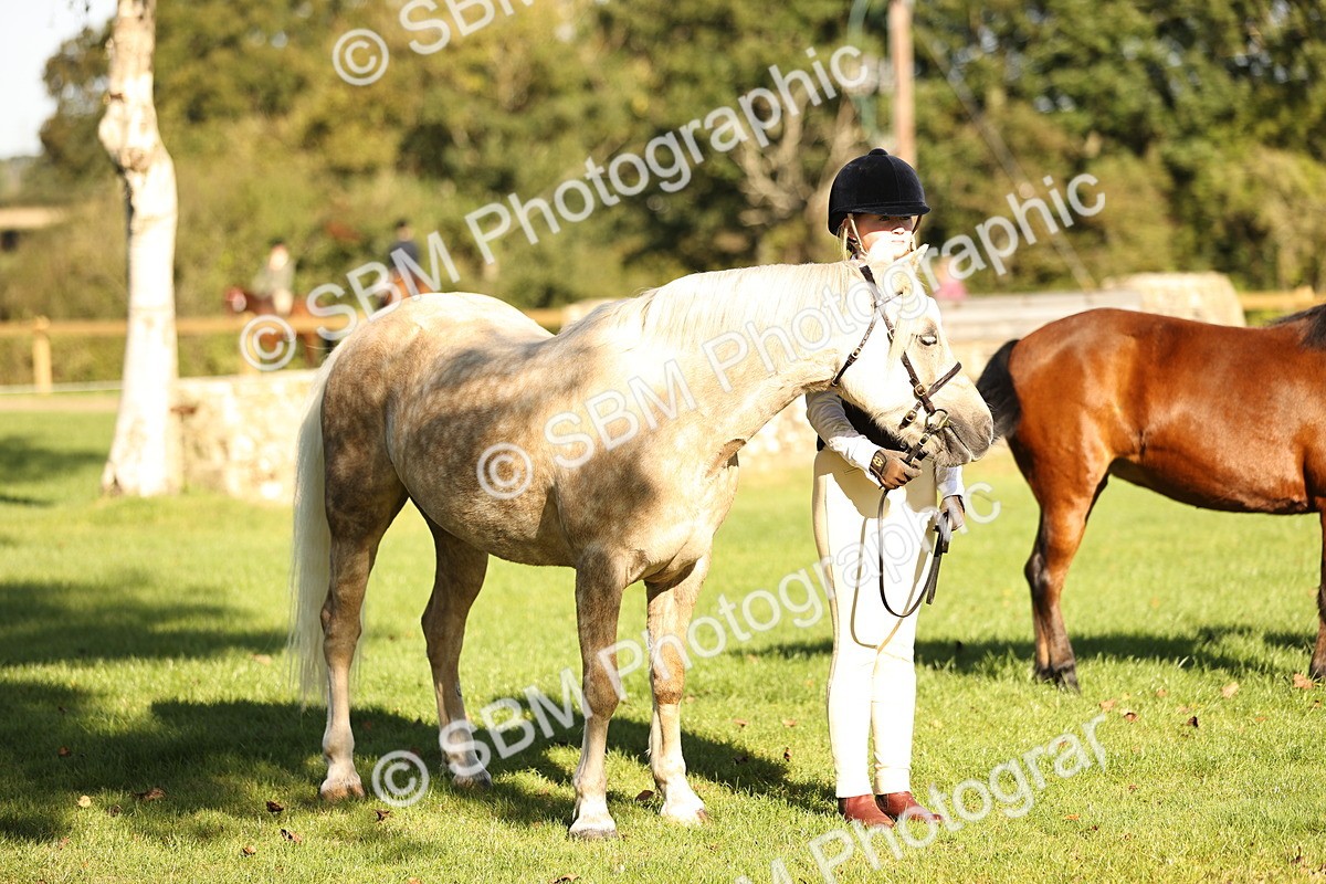 SBM_15901 - S1 - TSR in Hand Horse & Pony Showing