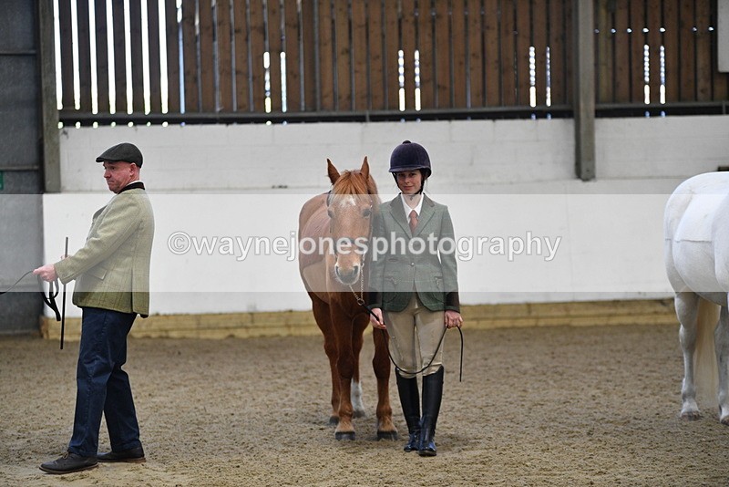 WJ5_3925 - Class 5 In Hand Veterans