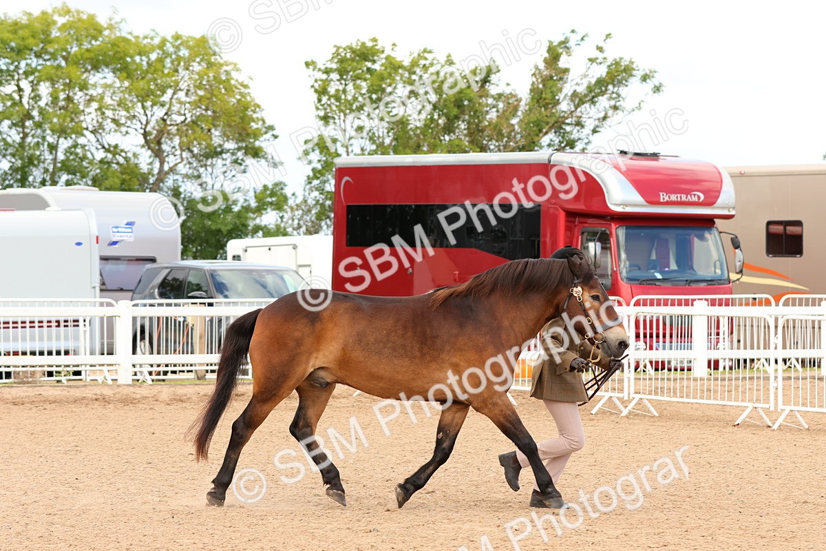 SBM_11948 - Class 209 - IH Veteran Pony