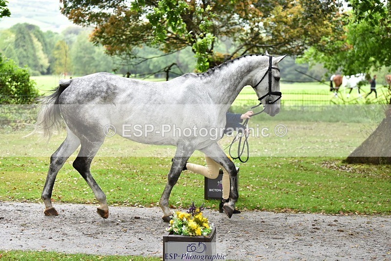 240522-160822-00735 - 155-GLOBAL_PROMISE-Ivy_Fisher