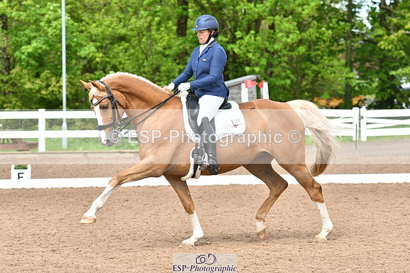 230511A-144747-01006 - BD Cls 14 Adv Medium 98