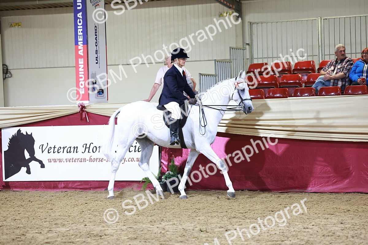 SBM_21133 - class Q - Ridden Horse Champ