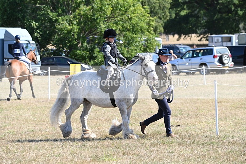 WJ6_7806 - Class 36 Lead Rein