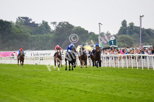 170623-Race 3-Quickthorn-0437 - Race 3 3.05pm Sky Bet Race To The Ebor Grand Cup Stakes