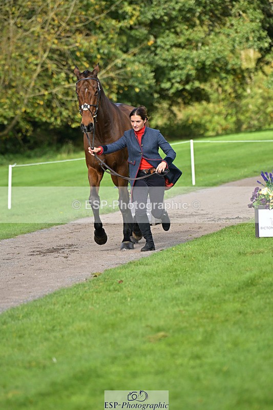 241023-132657-00294 - 053-Lois.Teal-Z7.CATASTROPHE