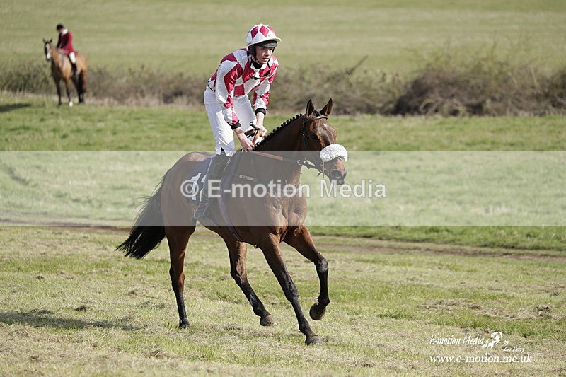 PtP 080423 631 - Dingley Races The Woodland Pytchley Hunt PtP 08/04/23