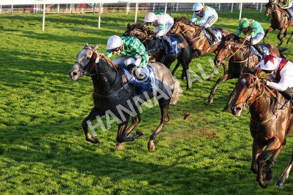 yr08102021r7-27 - Race 7 5.25pm The IRE Incentive, It Pays To Buy Irish Handicap