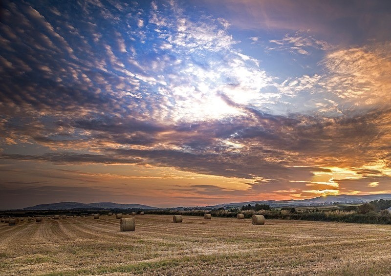 Hay Bales in Arbory - Latest additions
