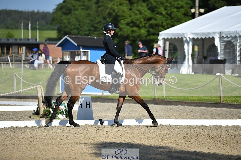 230525-092156-01584 - 304-MADFORD_LAW-Anna_Johannson-WEDTrotUp+DR