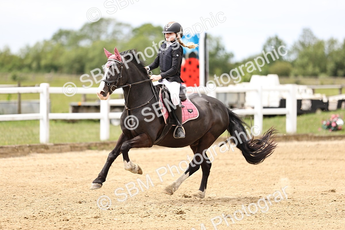 SBM_008022 - Class 3 - 90cm showjumping