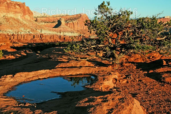 Not Much Left - Capital Reef National Park